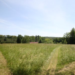 Vue haut du champs La Châtaigne